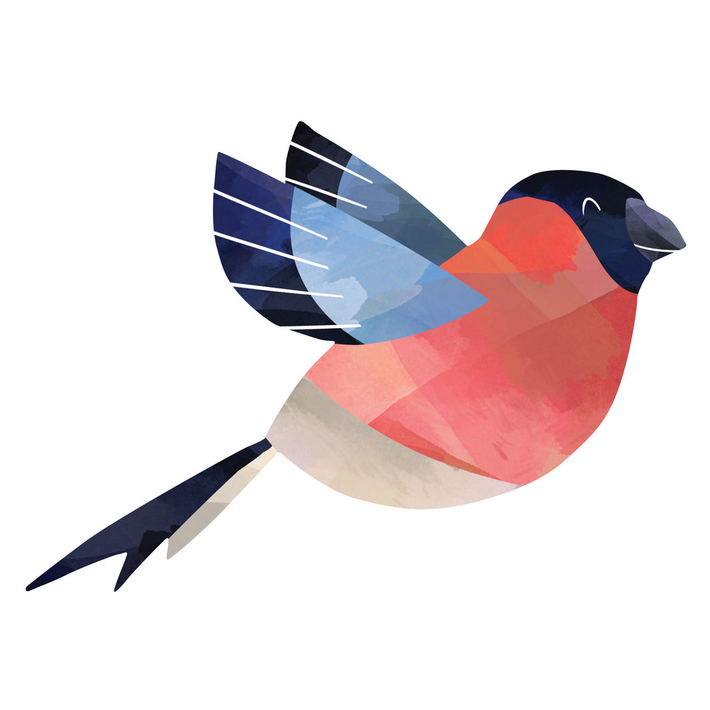 CURRENT Watercolor Birds Stickers - Set of 52 Stickers, Two 8-1/2