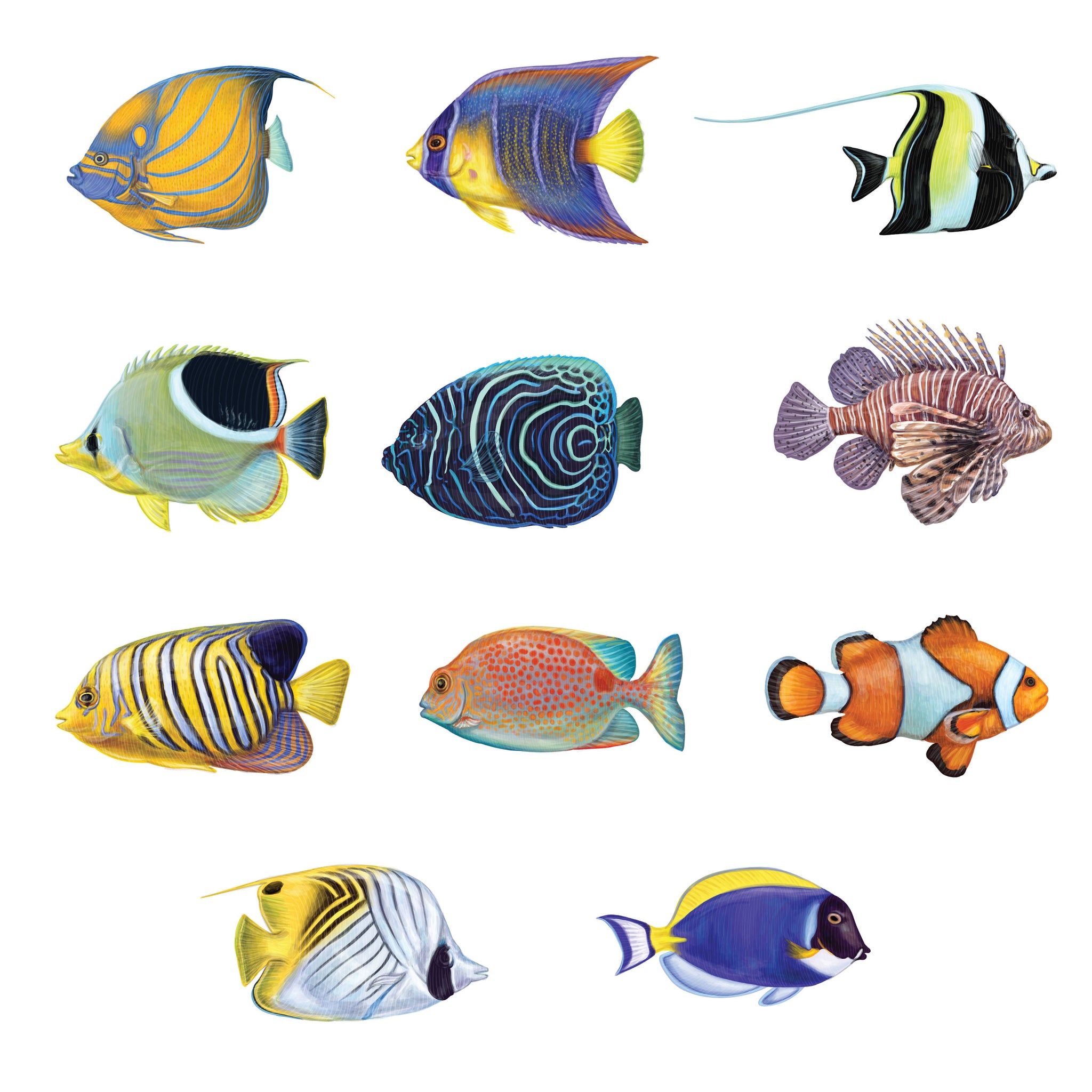 Tropical Fish Decals – My Wonderful Walls