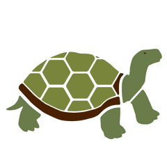 Tortoise Stencil – My Wonderful Walls