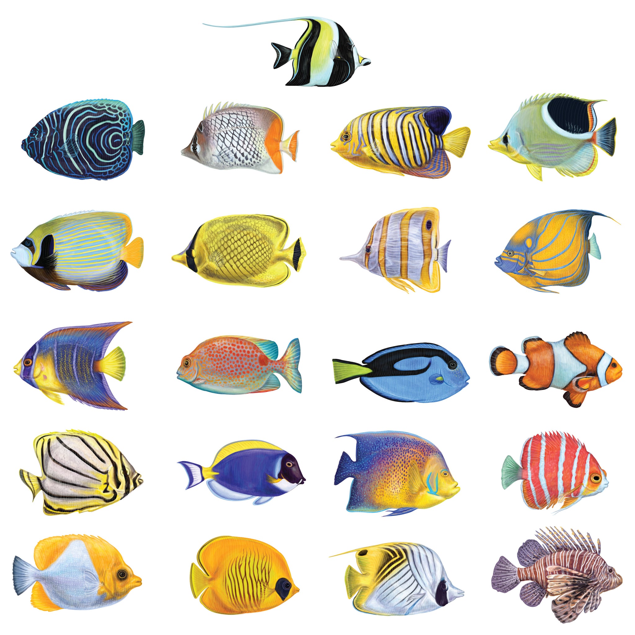 Tropical Fish Decals – My Wonderful Walls