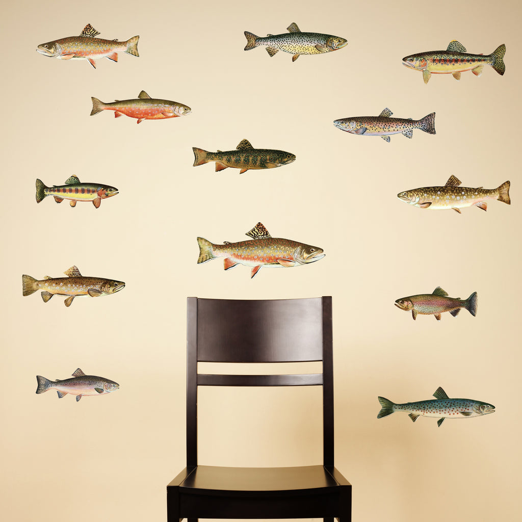 Trout Decals - Set of 13 Realistic Fish Stickers – My Wonderful Walls